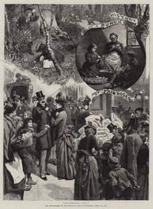 Jour de la Primevère